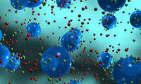 structure of a cell - Grade 10 - Quizizz