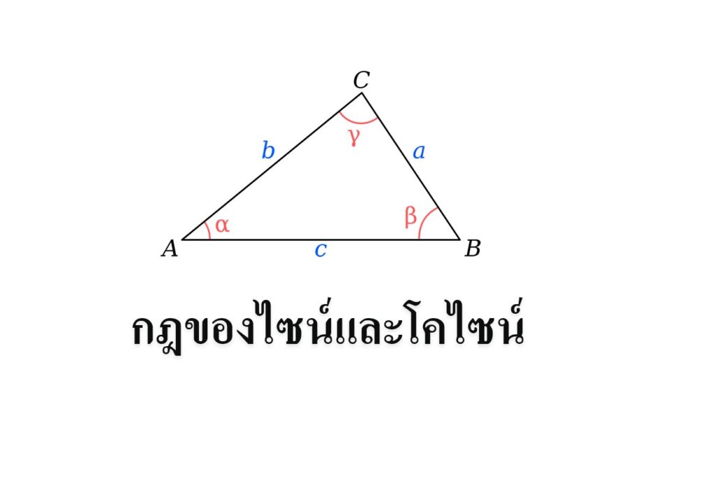 ฟังก์ชั่น - ระดับชั้น 10 - Quizizz