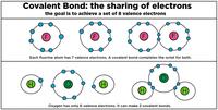 Area of Compound Shapes - Grade 11 - Quizizz