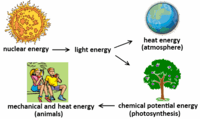 Energy - Class 6 - Quizizz