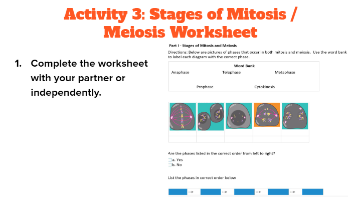 Biology Review- Mitosis Vs Meiosis | Biology - Quizizz