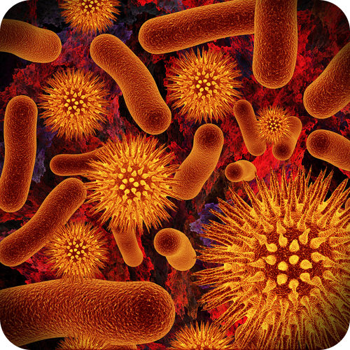 bakteri dan archaea - Kelas 11 - Kuis
