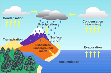 Water Cycle 4th Grade