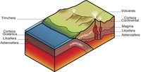 sólidos líquidos y gases - Grado 7 - Quizizz