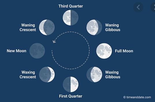 Phases of the Moon & Tides | Science - Quizizz