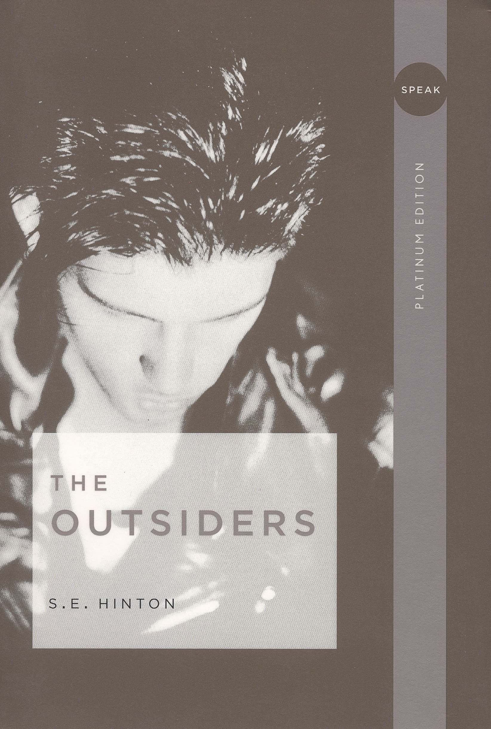 The Outsiders - Chapter 1 | Literature Quiz - Quizizz