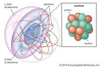 estructura cromosómica y números - Grado 9 - Quizizz