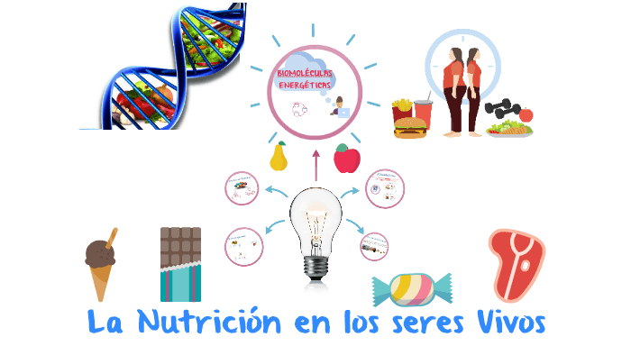 Nutricion En Los Seres Vivos Jugadas Quizizz