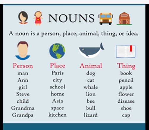 Nouns - Year 8 - Quizizz