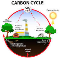 propriedades do carbono - Série 9 - Questionário