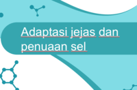 Seleksi Alam dan Adaptasi - Kelas 3 - Kuis