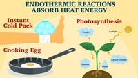 endothermic and exothermic processes - Class 8 - Quizizz