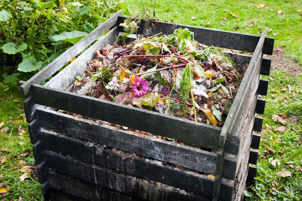 composting-science-quizizz