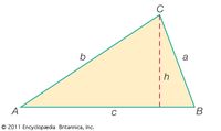 derivatives of trigonometric functions - Year 9 - Quizizz