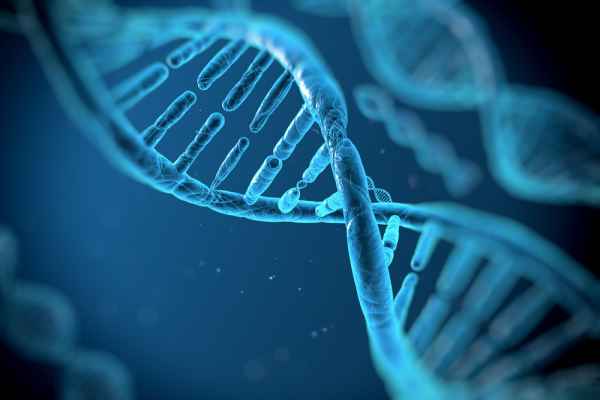 chromosome structure and numbers - Class 12 - Quizizz