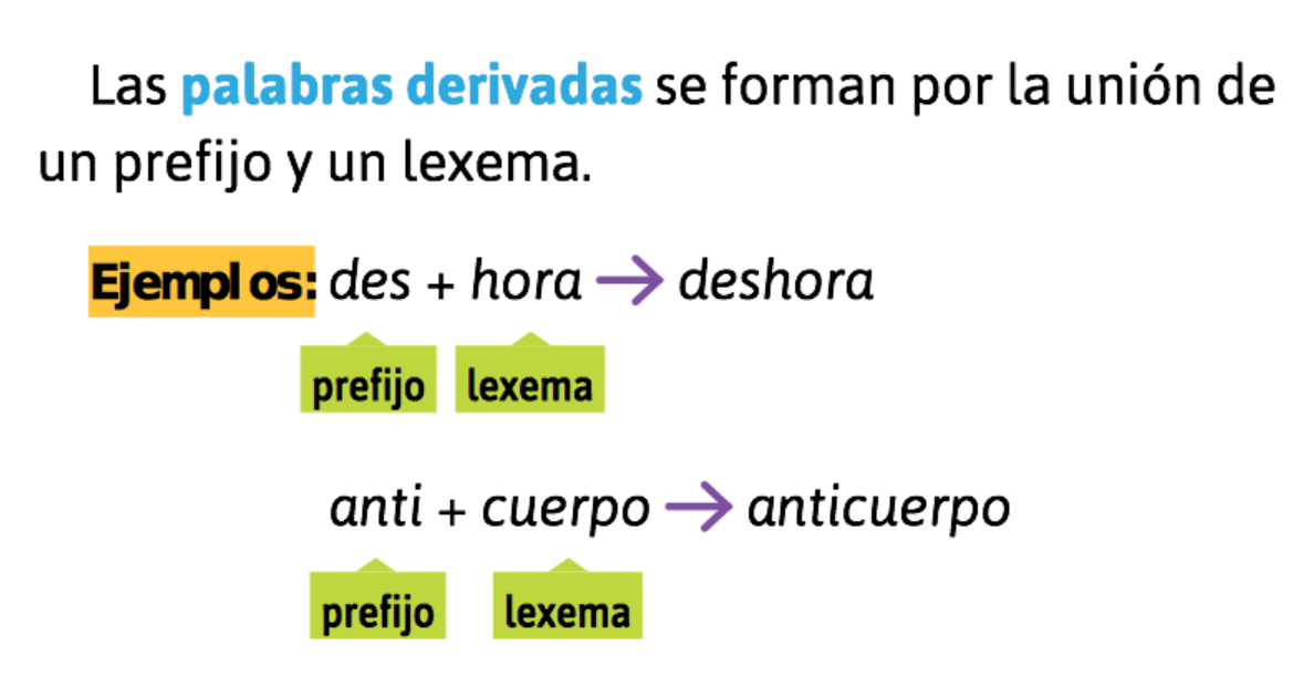 Las palabras compuestas, las derivadas y las parasintéticas - Quizizz