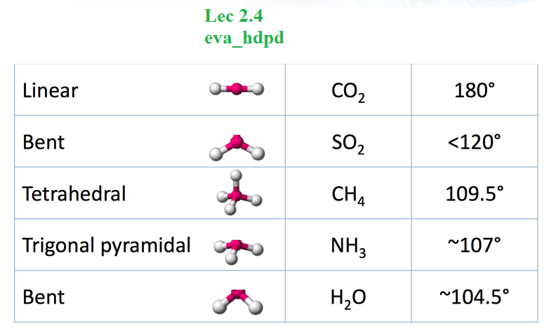 Lec 2.4 Molecular polarity and shape Quiz - Quizizz