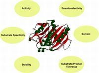 chromosome structure and numbers Flashcards - Quizizz