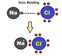 chemical bonds - Grade 11 - Quizizz