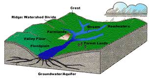 Groundwater and Surface Water