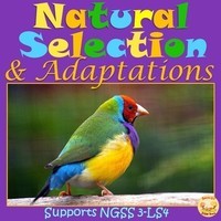 Selección natural y adaptaciones - Grado 3 - Quizizz