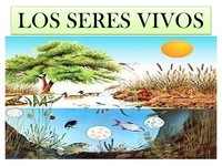 seres vivos y no vivos - Grado 9 - Quizizz