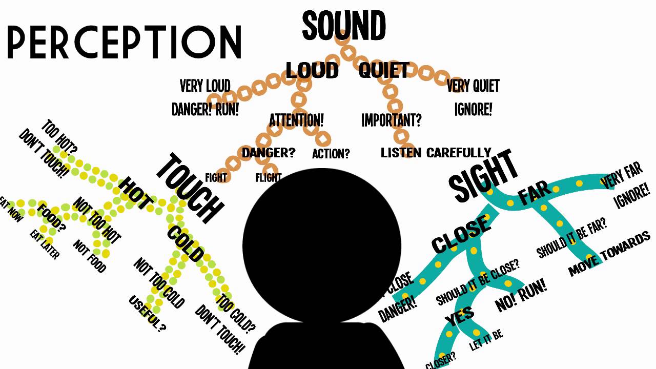 unit-4-sensation-and-perception-test-quiz-quizizz