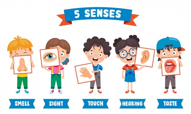 Revision Grade 2/ Year 3 Unit 2: Five senses | 116 plays | Quizizz