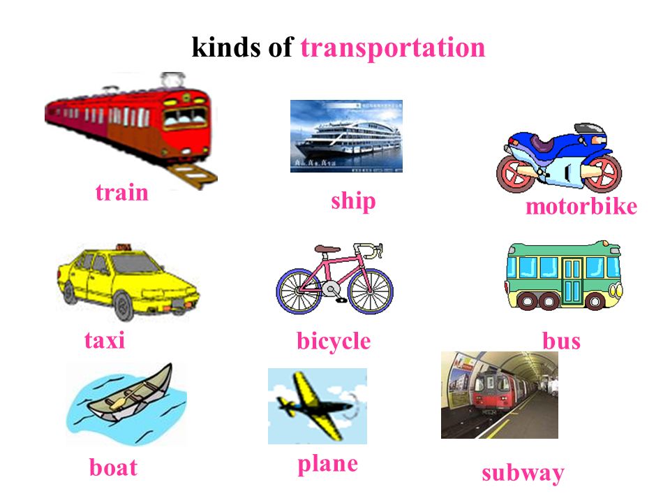 TRANSPORTATIONS | English - Quizizz