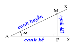 nhận thức lượng giác - Lớp 9 - Quizizz