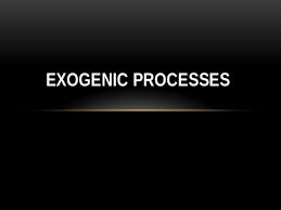 Chapter 9 (9.3 Exogenic And Endogenic Process) 