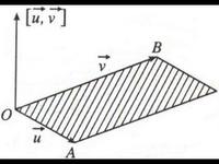 định luật thứ hai của newton - Lớp 12 - Quizizz