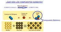 elementos y compuestos - Grado 5 - Quizizz