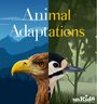 Environment and Adaptations 