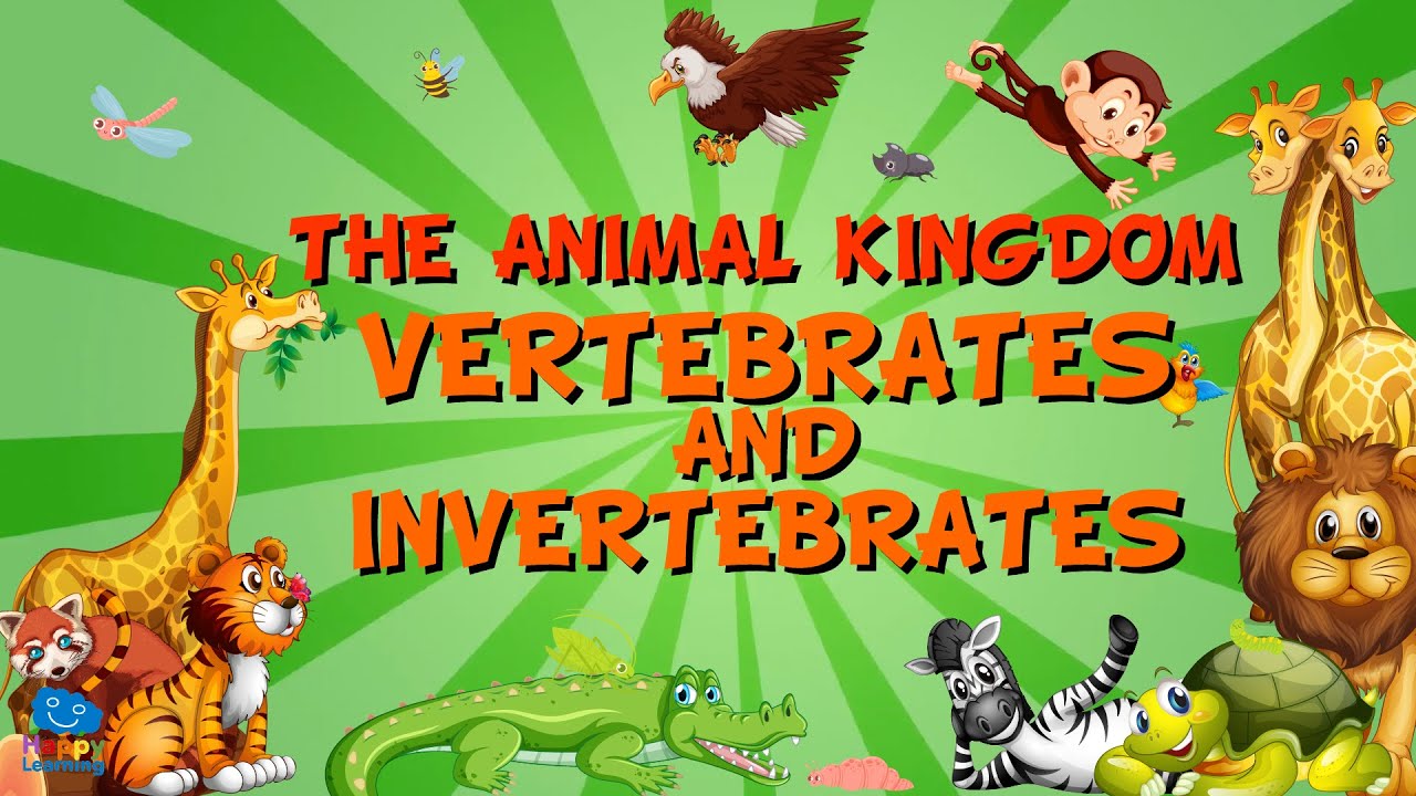 vertebrates and invertebrates - Year 8 - Quizizz