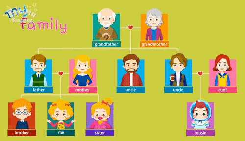 Family Tree | English Quiz - Quizizz