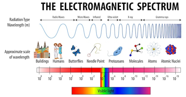 electromagnetic waves and interference - Year 5 - Quizizz