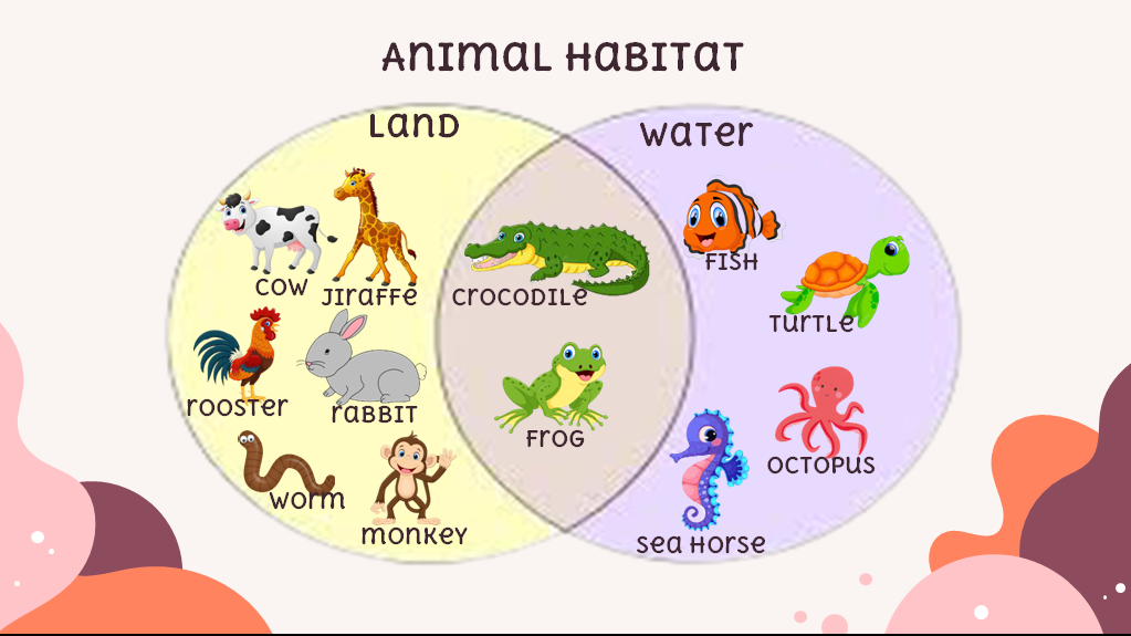 Animal And Plant Venn Diagram