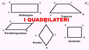 quadrilatero rettangolo