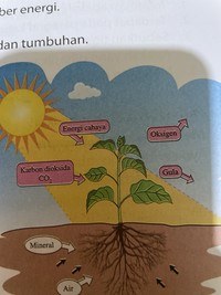 Energi - Kelas 3 - Kuis