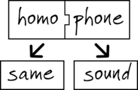 Homophones and Homographs - Year 8 - Quizizz