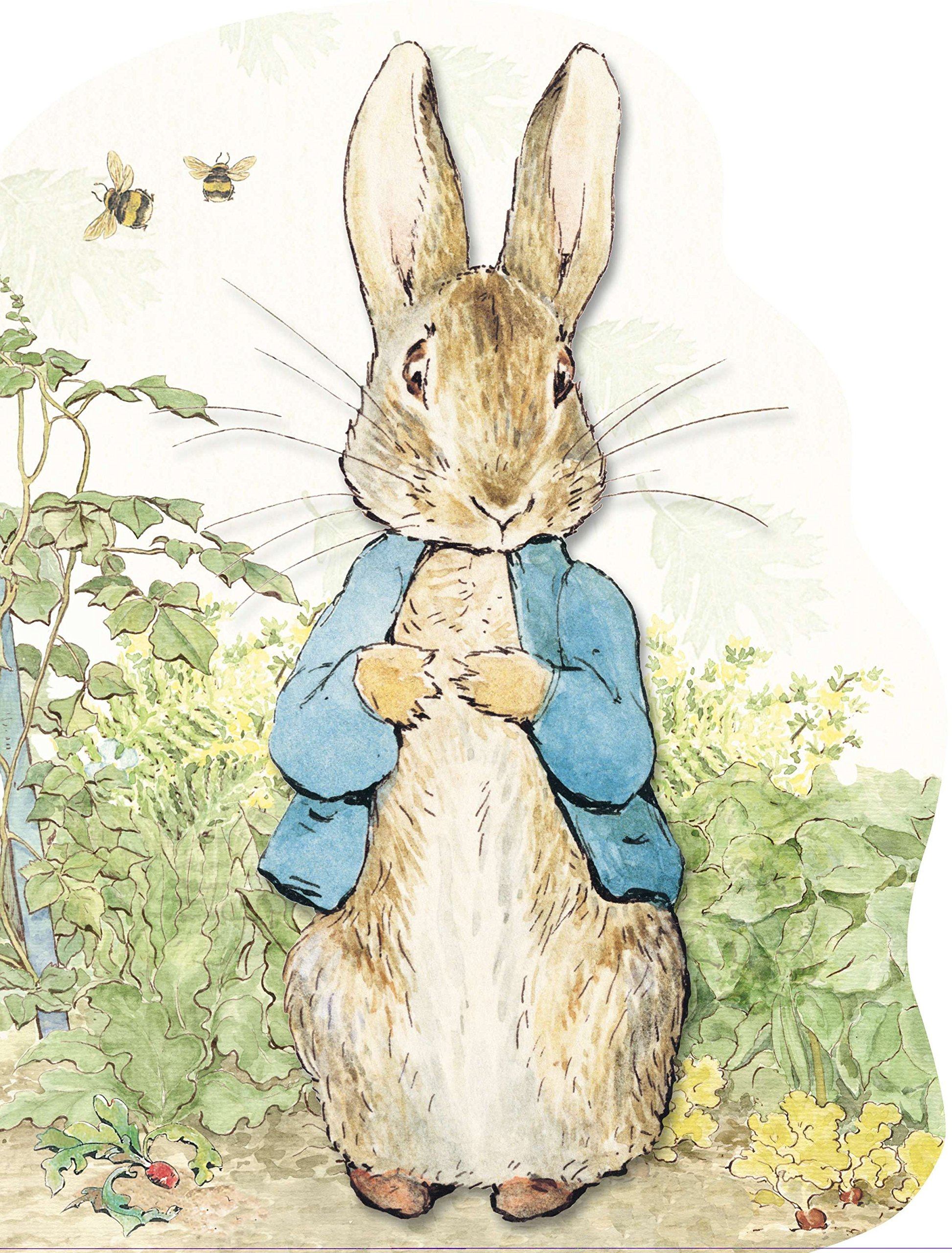 Peter Rabbit | Reading - Quizizz