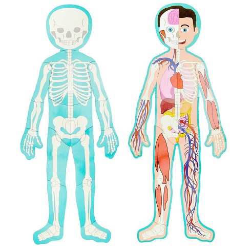 Respiratory and circulatory system | 102 plays | Quizizz