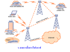 แพทย์ - ระดับชั้น 11 - Quizizz