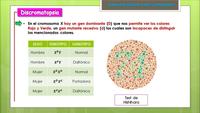 Tiempo transcurrido - Grado 12 - Quizizz