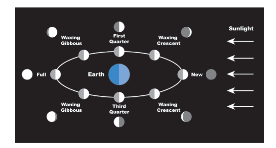 Moon phases | Quizizz