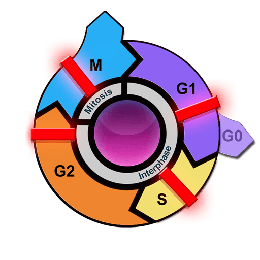 cellular respiration - Class 2 - Quizizz