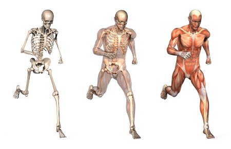 Adalah berupa osteoporosis kelainan tulang 13 Kelainan