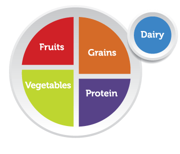 Balanced diet | 2.4K plays | Quizizz