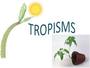 Tropisms